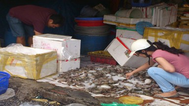   Ăn tôm "say", cua "ngất" giá rẻ: coi chừng ngộ độc
