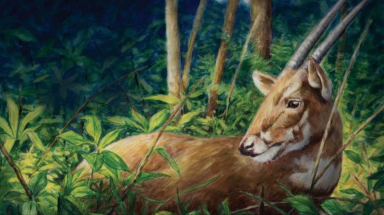  COP15 - Cơ hội có tính lịch sử để phục hồi đa dạng sinh học, bảo vệ sao la và bảo vệ cuộc sống của chính chúng ta