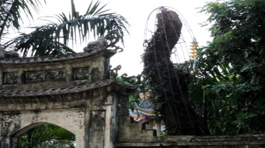 Nhà chùa bị cưa trộm sưa hơn 5 tỷ trong đêm
