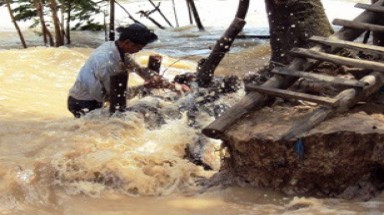 Quỹ Coca Cola hỗ  trợ các nạn nhân vùng lũ ở ĐBSCL