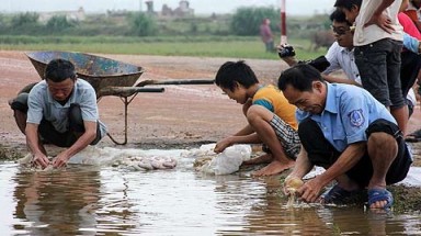  Rửa lòng lợn cạnh vũng nước nghĩa trang