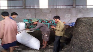  Những cái chết rình rập từ người bán hàng nhẫn tâm