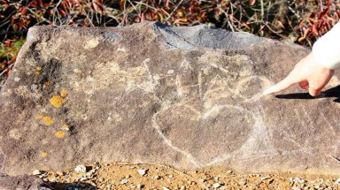 Dân Nhật phẫn nộ với người vẽ bậy chữ "Hào" lên di tích thành cổ Yonago
