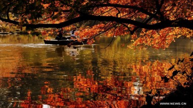  Lãng mạn cùng thu New York