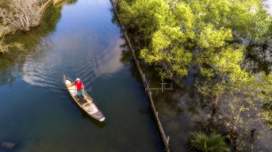  Đông về, rừng Rú Chá đẹp ma mị