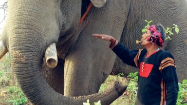   Đắk Lắk: Vĩnh biệt vua săn voi Ama Kông