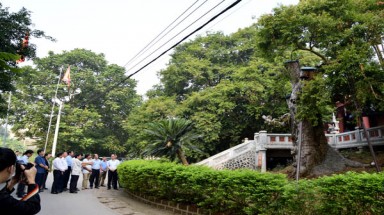  Kết quả nổi bật của Đề tài nghiên cứu Mô hình thử nghiệm chăm sóc, kéo dài tuổi thọ Cây Táu cổ thụ