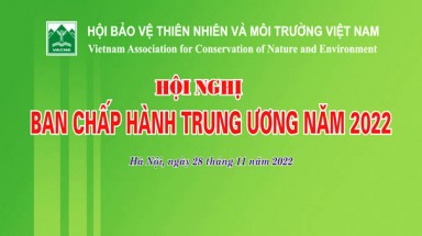  Thông báo Hội nghị Ban chấp hành Trung ương năm 2022
