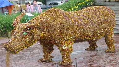  Những kiệt tác từ lúa gạo