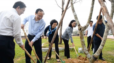  Quỹ 1 triệu cây xanh trồng cây tại Khu di tích Cách mạng Núi Bà tỉnh Bình Định