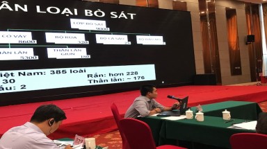  Việt Nam -Trung Quốc tăng cường hợp tác chống buôn bán động vật hoang dã trái phép tại khu vực biên giới
