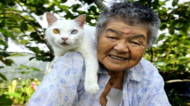  Nhật Bản: Tình bạn cảm động của bà lão 88 tuổi và mèo