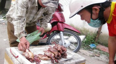  "Chợ" chim trời giữa lòng thành phố 