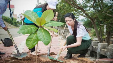  Việc phê duyệt quy hoạch bảo vệ môi trường được pháp luật quy định như thế nào?