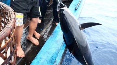  Nâng cao nhận thức nhằm ngăn chặn, giảm thiểu, loại bỏ khai thác hải sản bất hợp pháp
