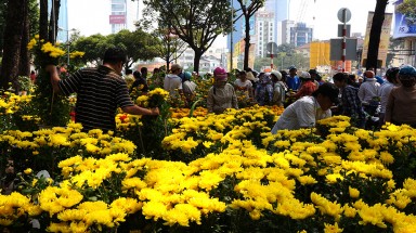  Chợ hoa Tết Kỷ Hợi 2019 tổ chức ở 3 công viên lớn tại TP.HCM