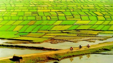  Kỷ luật chủ tịch UBND tỉnh Bình Phước  