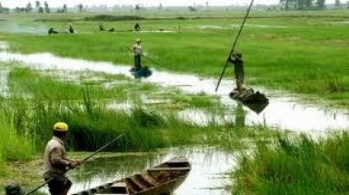  ĐBSCL sẽ bị ngập khoảng 1 mét vào năm 2050 