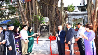 Cây Đa cổ thụ bên miếu thờ danh tướng thời nhà Mạc được công nhận Cây Di sản