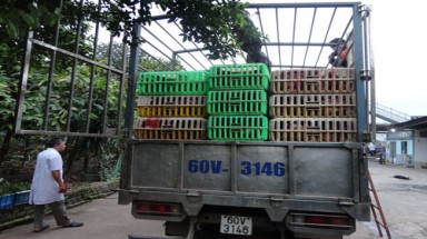 “Nóng” với hàng nhập lậu từ Trung Quốc!