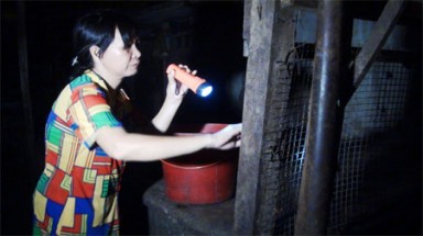   Người phụ nữ đi “săn” gián đêm