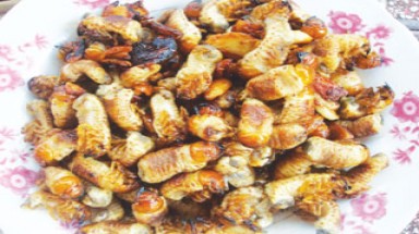  Về giồng ăn đuông