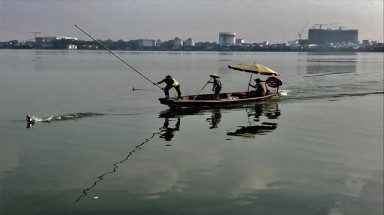 Xác minh vụ nhân viên môi trường "hành hung" vịt trời trên hồ Tây