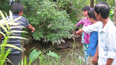  Sóc Trăng: Trang trại nuôi heo gây ô nhiễm