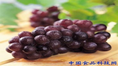 9 loại rau quả giúp bạn luôn khỏe mạnh