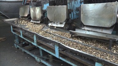 Phú Yên phạt Công ty Trách nhiệm hữu hạn Điều Đại Hưng Phát gây ô nhiễm môi trường