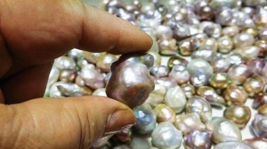  Cách nào để phân biệt ngọc trai thật và giả?