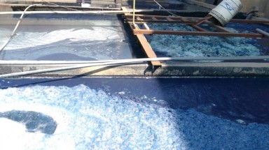 Công ty trách nhiệm hữu hạn Nhuộm và giặt thời trang Quốc tế xả nước thải gây ô nhiễm môi trường 