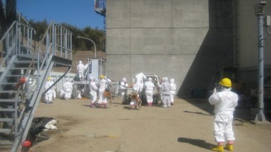  Nhật Bản bắt đầu khử chất thải phóng xạ rò rỉ nhà máy điện hạt nhân Fukushima Daiichi