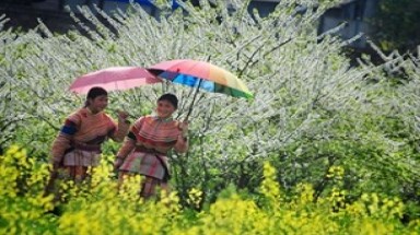  Thời tiết miền Bắc ấm lên vào cuối tuần