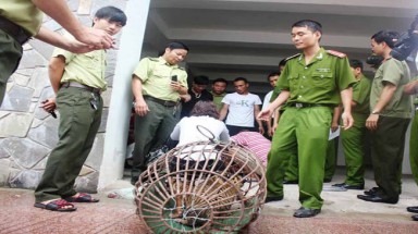  Phát hiện nhiều vụ hành xác “chúa sơn lâm”