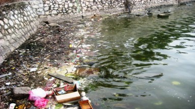   Hà Nội: Cá chết trắng, bốc mùi hôi thối ở Hồ Tây