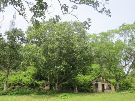  Bí ẩn Lăng Sọ ở Huế
