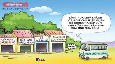 Tour tham quan rừng... nội thất