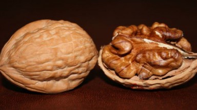  Chế tạo ”cây nhang xanh” 