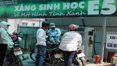    Cuối 2015, tất cả phương tiện cơ giới dùng xăng E5