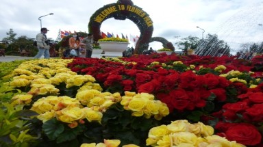  Đà Lạt ngập sắc hoa