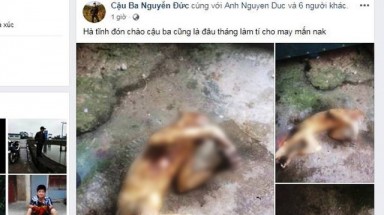  Thêm vụ giết khỉ khoe Facebook gây phẫn nộ
