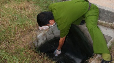  Công ty TNHH Miwon Tây Ninh xả thải: Kiểm tra đâu, sai phạm đó