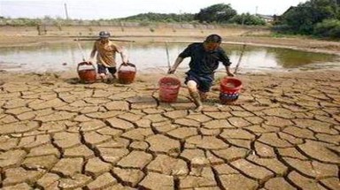  Trà Vinh chủ động ứng phó với biến đổi khí hậu