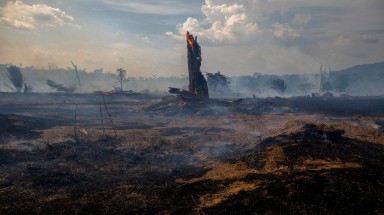 Những sự kiện khoa học đáng chú ý năm 2019