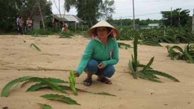  Bình Thuận: Đình chỉ công ty khai thác titan gây thiệt hại cho dân