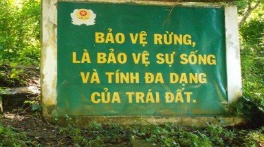  Kon Tum: Kịp thời phát hiện 118 điểm nóng, xử lý 495 vụ vi phạm Luật Bảo vệ và Phát triển rừng năm 2018