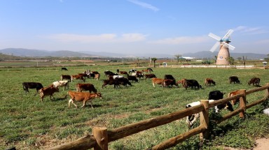  Vinamilk 3 năm liên tiếp đứng đầu Top 10 Doanh nghiệp niêm yết uy tín năm 2017 
