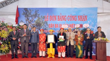  Làng nghề ven đô Hà Nội tưng bừng tổ chức Lễ vinh danh Cây Di sản Việt Nam