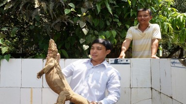  Nuôi những con kỳ lạ, mỗi năm lãi ròng 2 tỷ đồng/năm